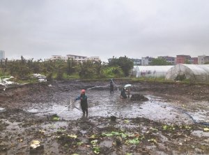 南宁河道鱼塘清淤